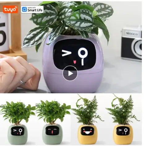 Smart Planter with AI Sensors – Interactive Plant Care for Healthier Growth